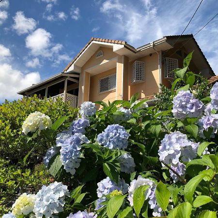 Villa Relax Fujikawaguchiko Εξωτερικό φωτογραφία